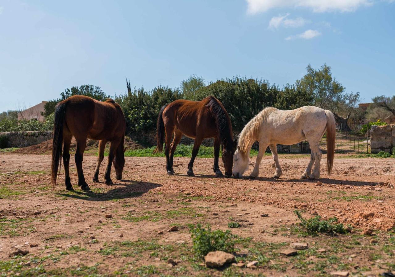 Agroturismo Sa Canoveta Colonia de Sant Jordi Zewnętrze zdjęcie
